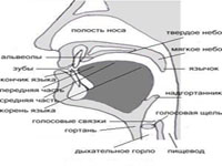 Уроки фонетики русского языка